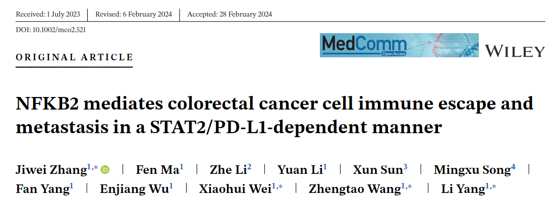 杨莉、张继伟团队揭示人参皂苷Rg5在结直肠癌免疫治疗作用新机制