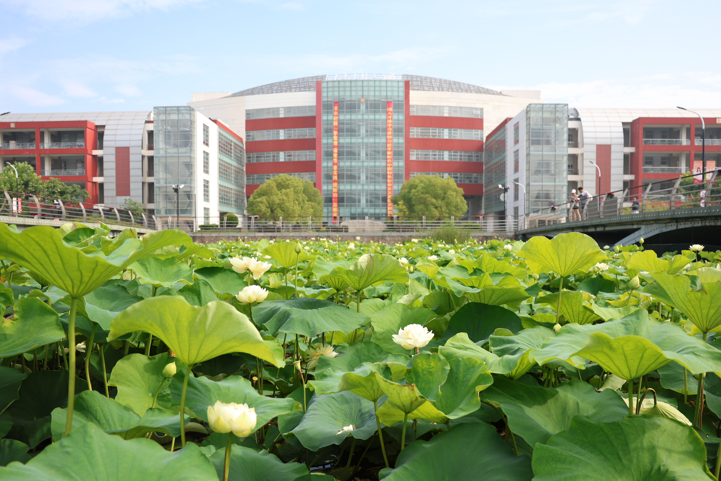 特等奖！我校教师在第五届上海市高校教师教学创新大赛中获多项佳绩