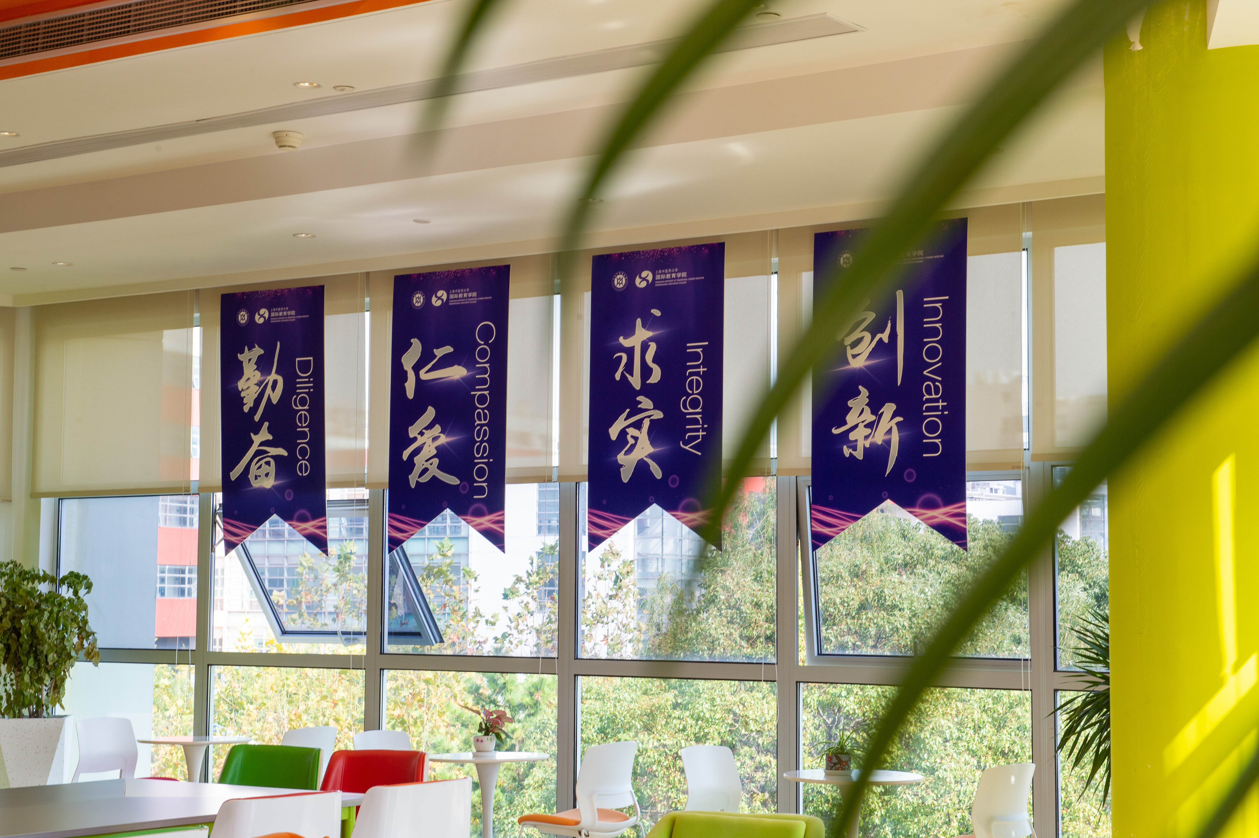 喜讯！我校戴榕辰入选全国博士后创新人才支持计划