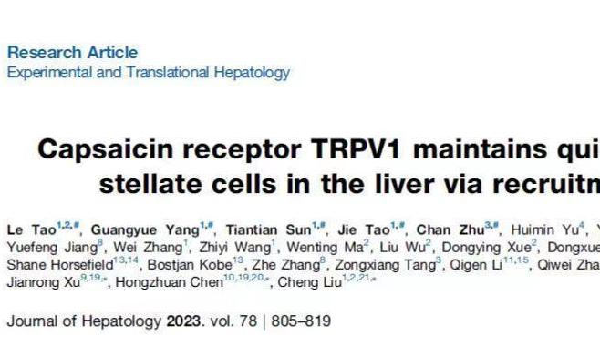 刘成、陈红专、徐见容、刘平团队合作在辣椒素受体作为潜在靶点调控肝纤维化研究取得新进展
