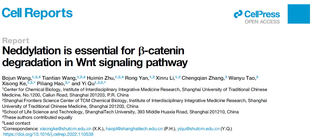 我校屈祎课题组在Cell Reports发表论文揭示结肠癌治疗靶标β-catenin的降解新机制