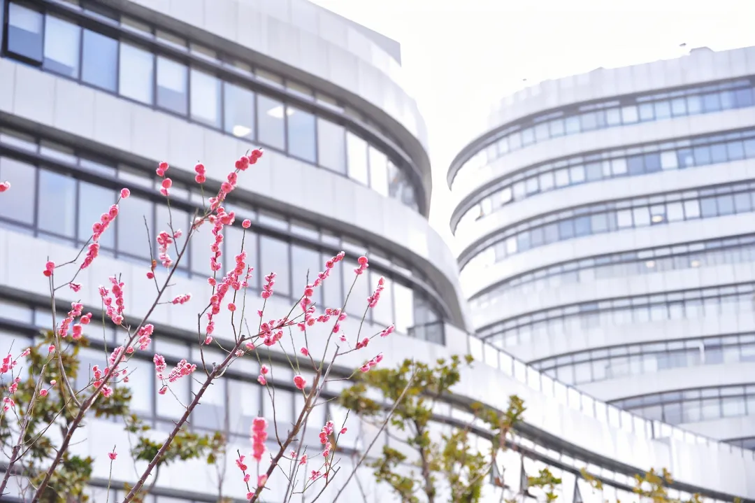  我校中药研究所研发中药1类新药车前子片获新药临床试验批件