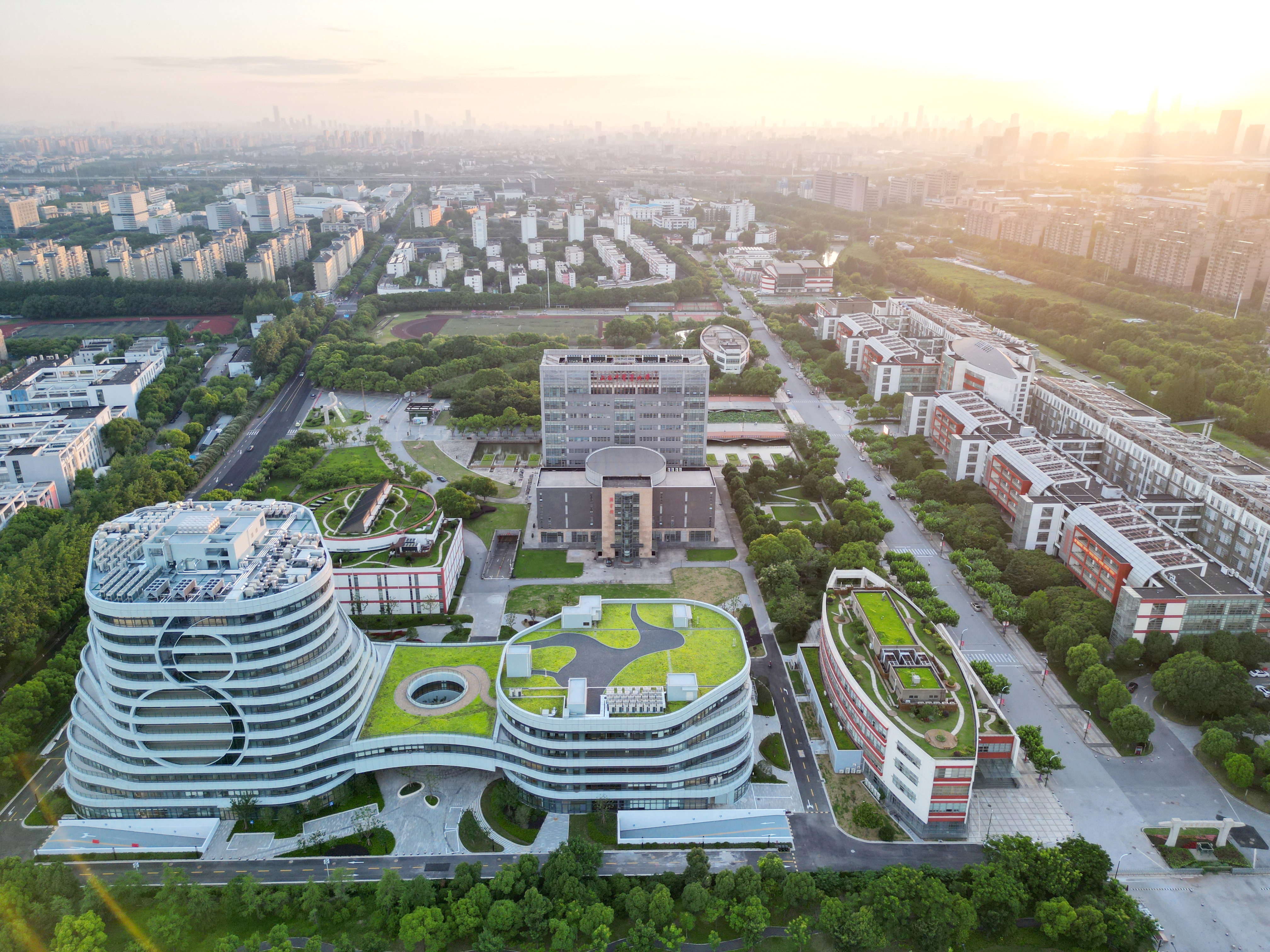 我校在全国中医药优秀博士学位论文评选中再获佳绩