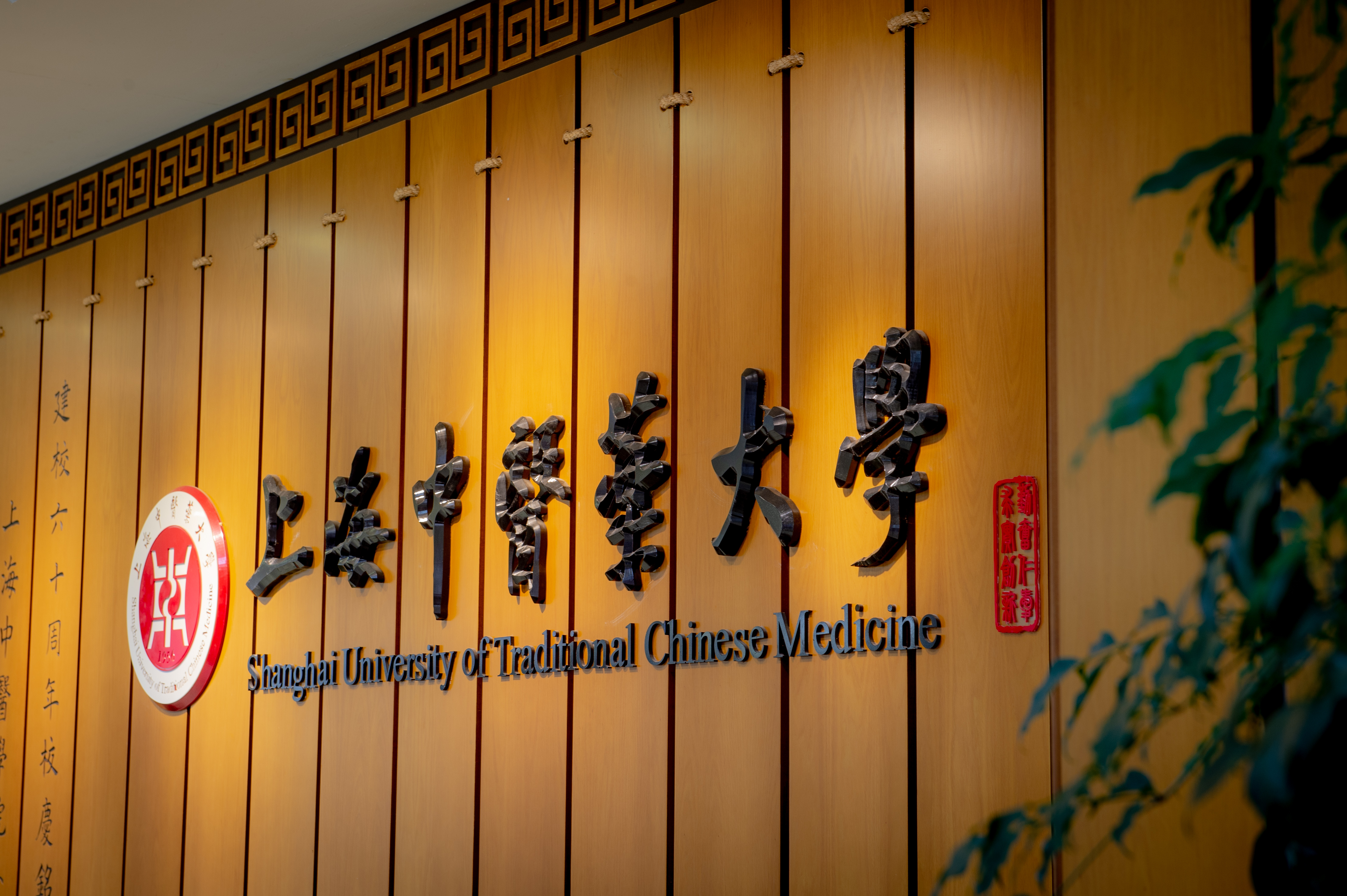 我校获批第二批上海市重点现代产业学院建设项目