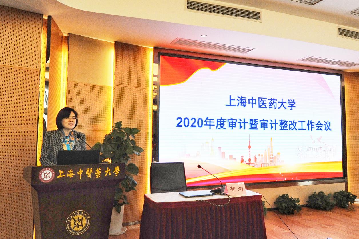 我校召开2020年度审计暨审计整改工作会议