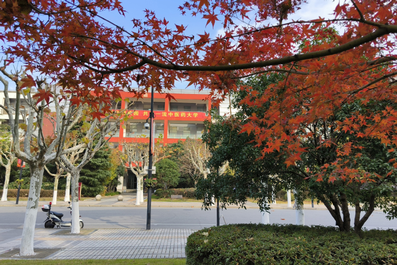 校园风景