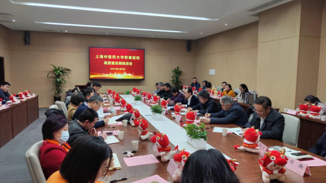 我校召开附属医院高质量发展研讨会
