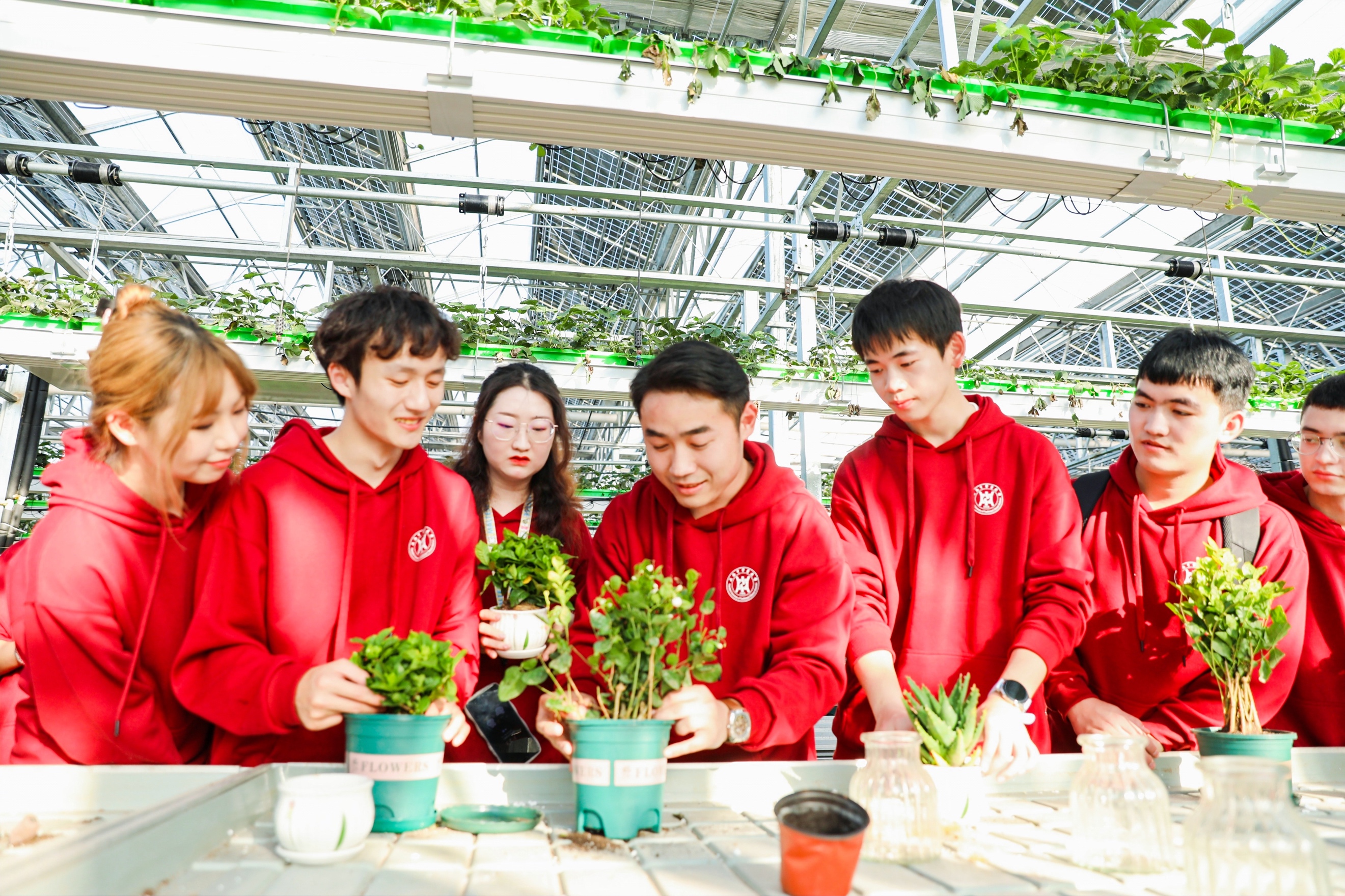 走进乡镇的田间地头 上海市高校大学生中医药劳动教育实践基地联盟成立