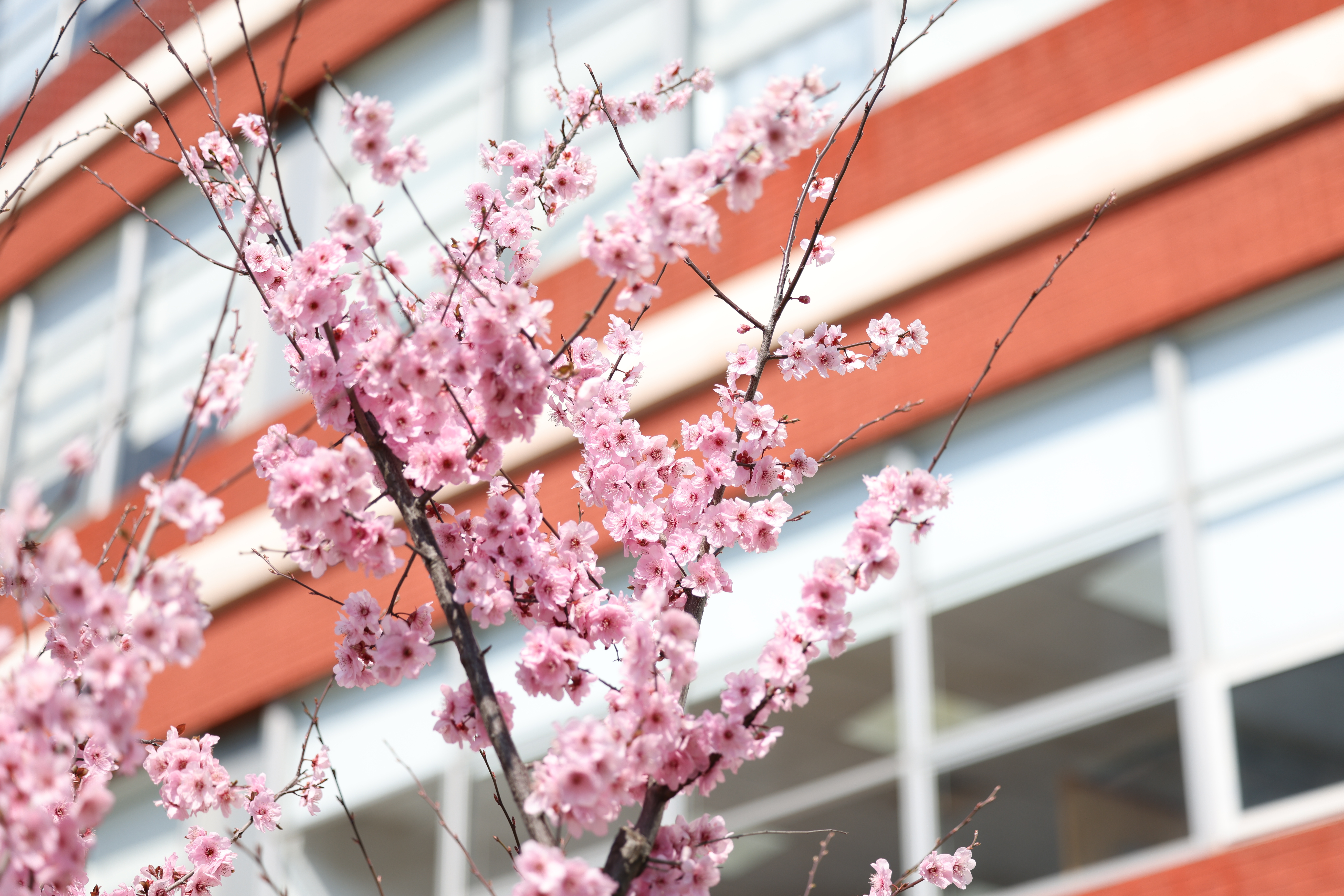 2025年度精神文明好人好事风采展①