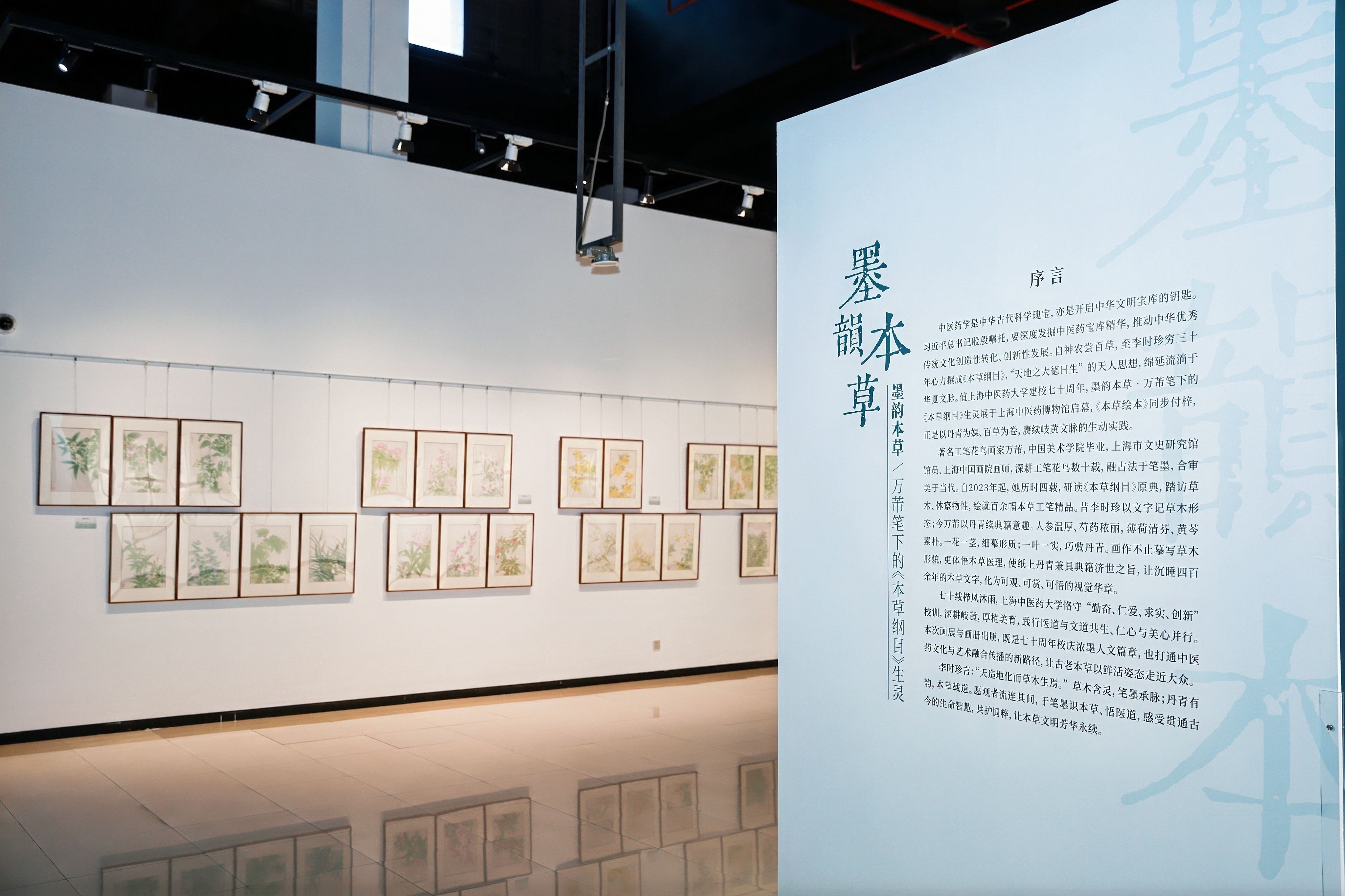 “墨韵本草”画展开幕  打通丹青与中药典籍交融的美育新路径