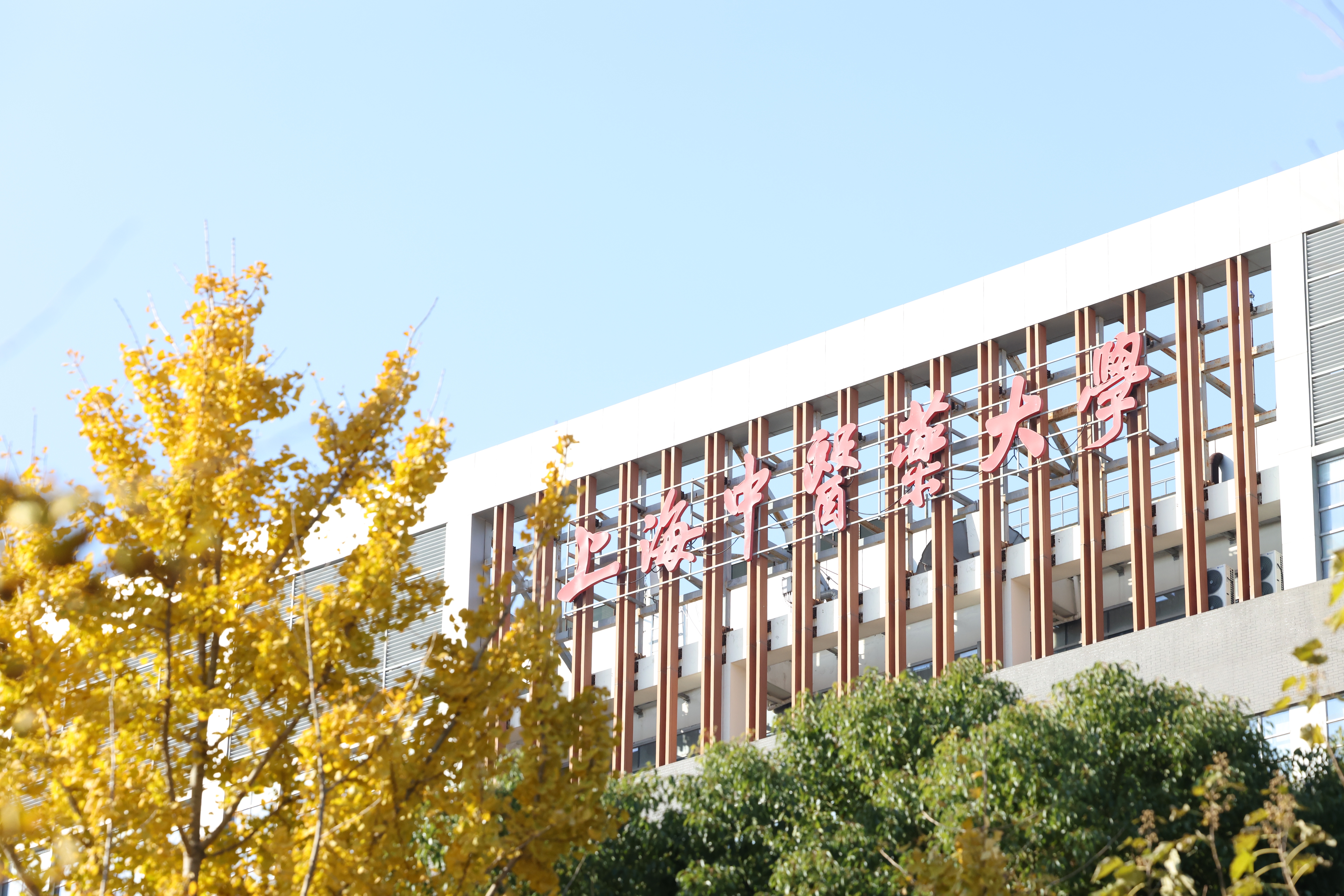 我校专家委员会召开“十五五”规划研讨会