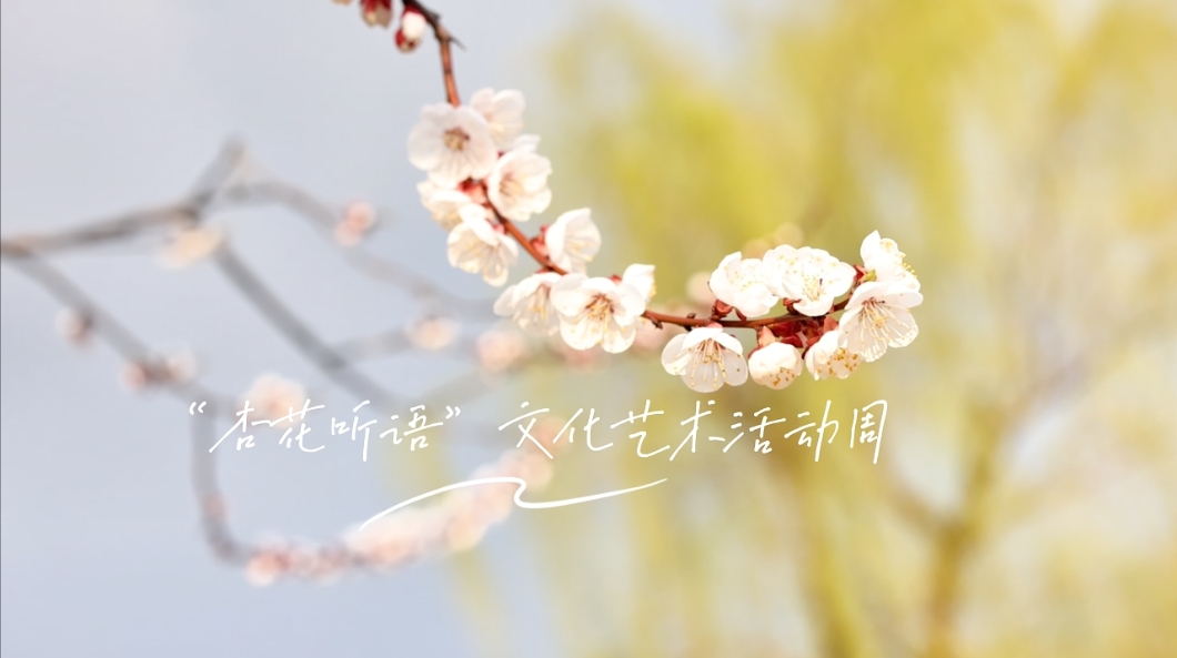 “杏花听语”文化艺术活动周