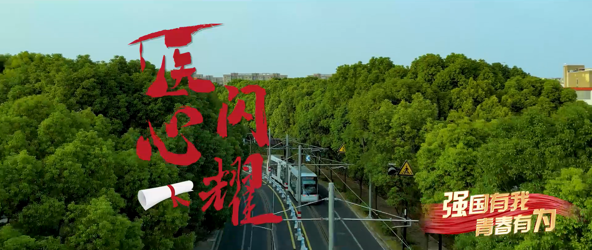 医心闪耀