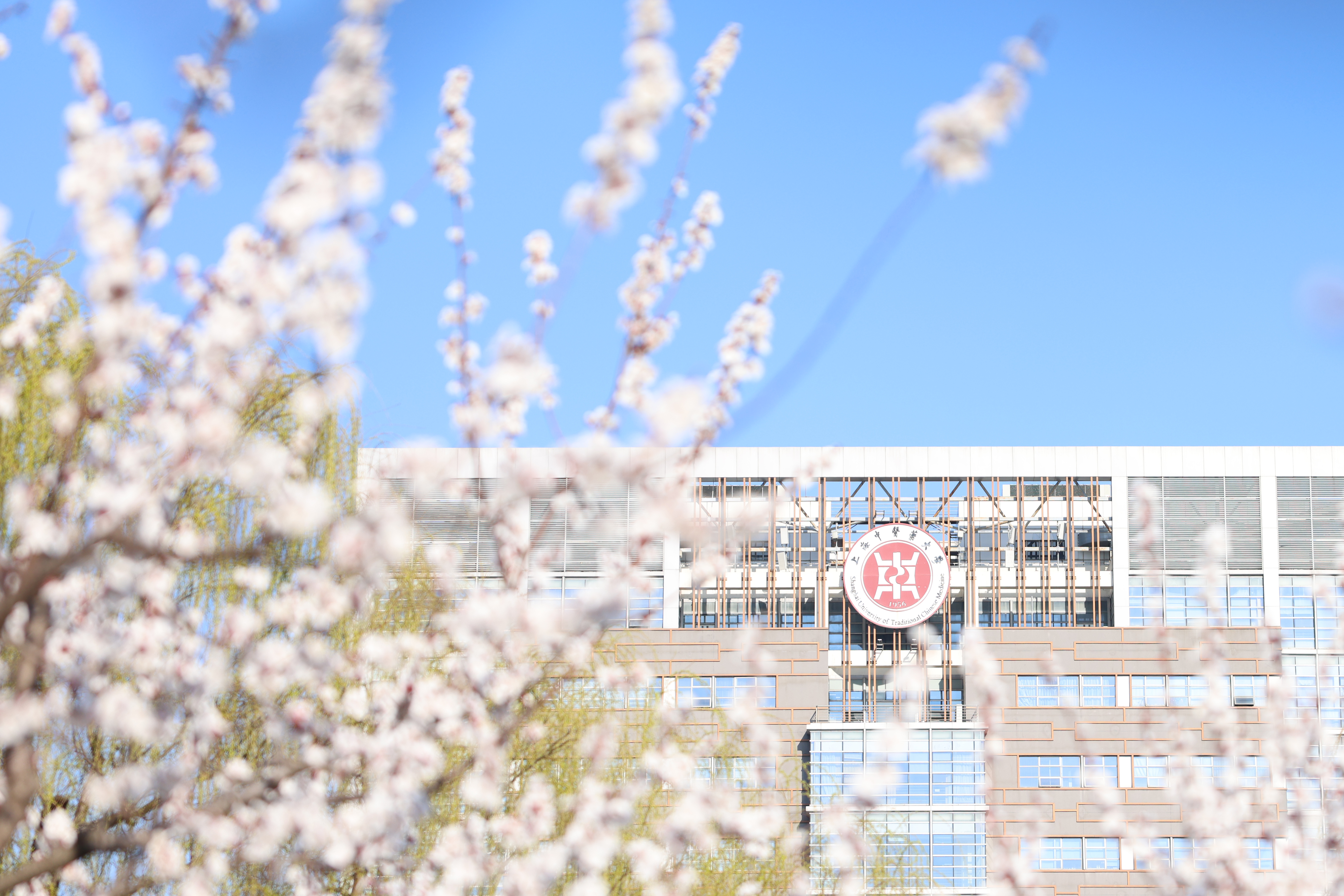 我校10部教材入选“十四五”普通高等教育本科国家级规划教材