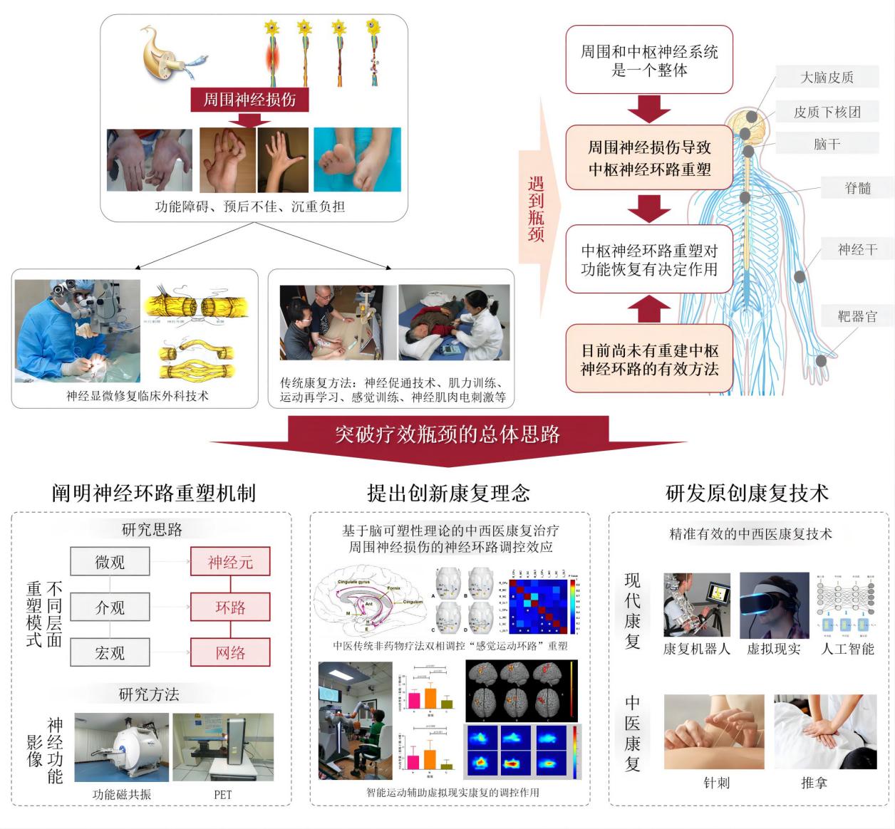 徐建光教授团队获2022年度中国康复医学会科学技术奖一等奖