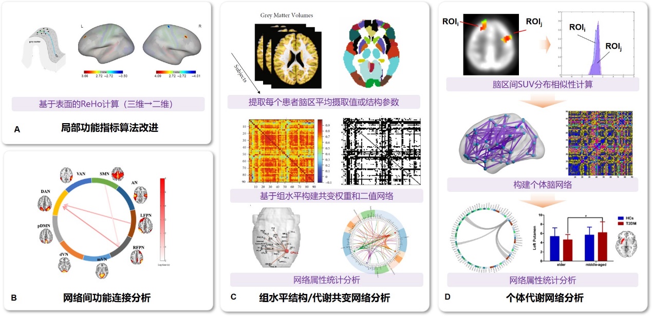 我校康复医学院徐建光教授团队在神经损伤疾病康复的外周-中枢机制研究方面取得突破